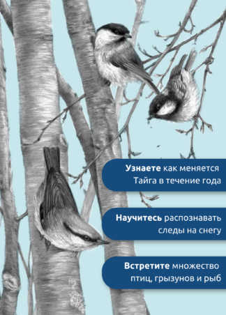 Иду по тайге (2-е изд.)_5