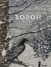 Книга Ворон автор Рудашевский Евгений