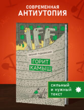 Книга Горит камыш (с автографом автора) автор Рудашевский Евгений