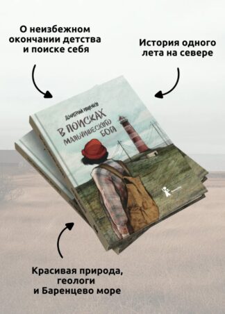 В поисках мальчишеского бога (5-е изд.) (Твердая обложка)_2